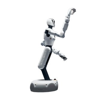 Galbot G1
